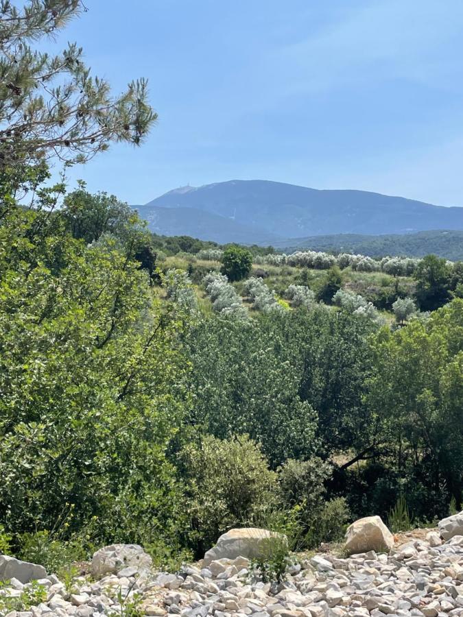 Hotel La Pinede Saint-Marcellin-les-Vaison Екстер'єр фото